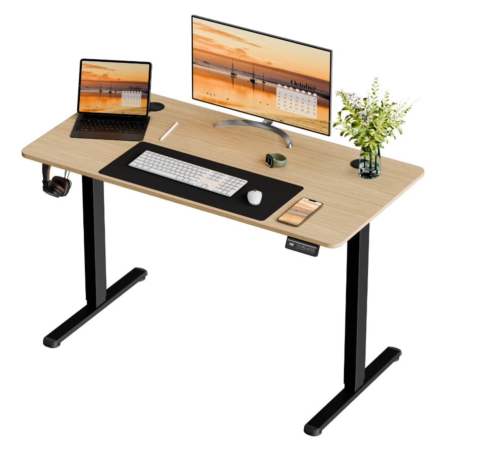 Walsunny White Electric Height Adjustable Standing Desk