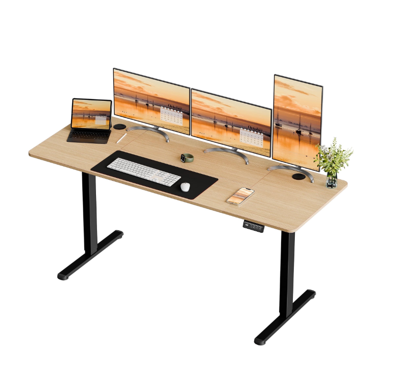 Walsunny White Electric Height Adjustable Standing Desk