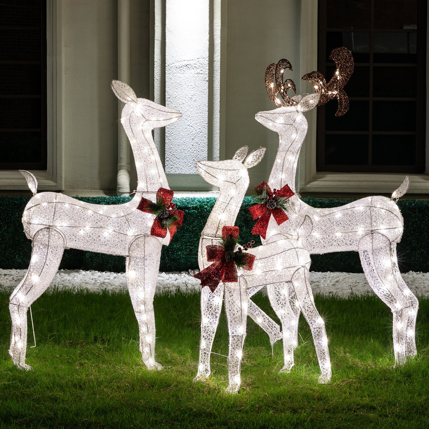 Walsunny LED Lighted Christmas Deer Family Display Set
